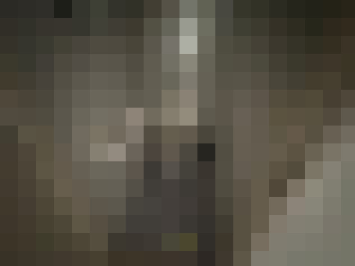  / #21