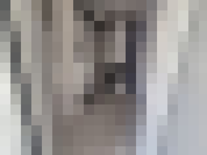  / #8