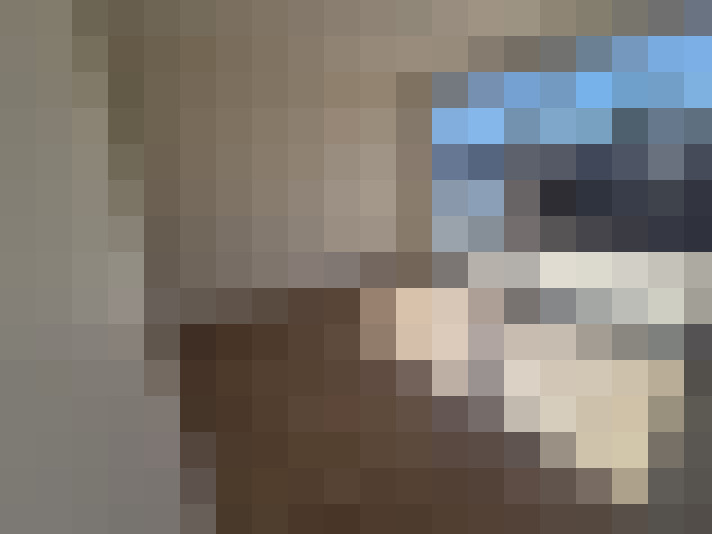  / #11