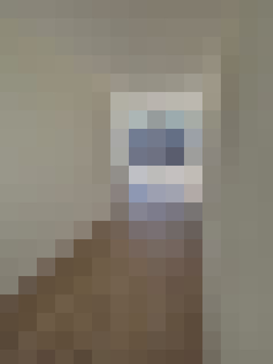  / #17