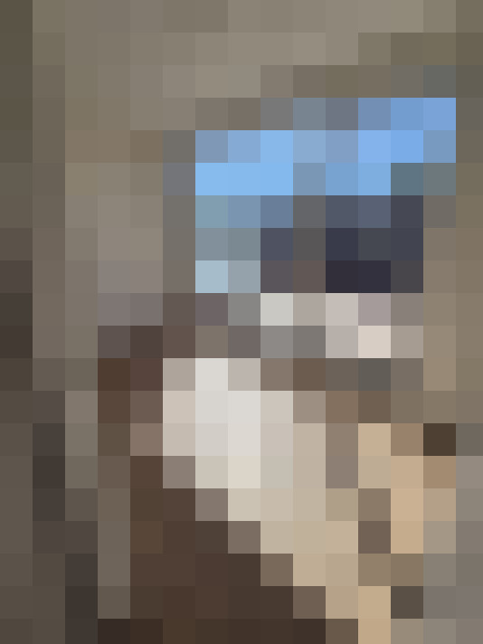  / #13