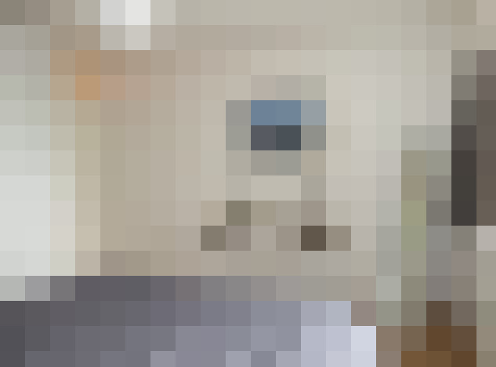  / #15