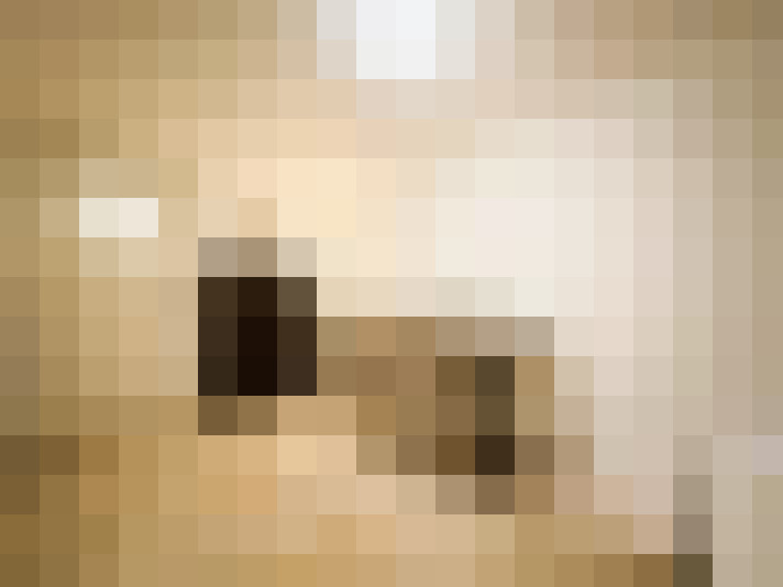  / #20