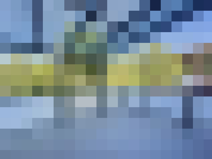 / #15