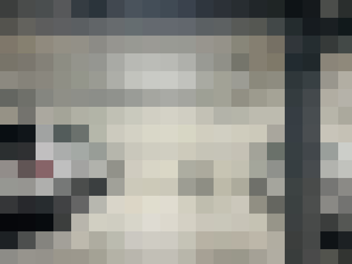  / #19