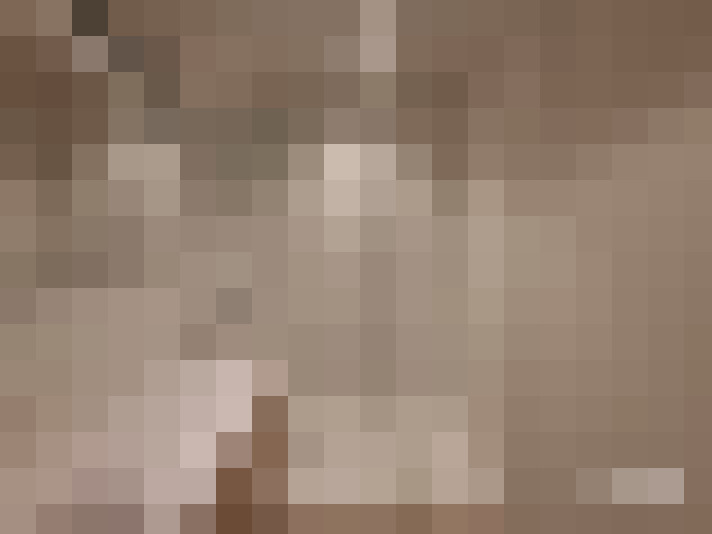  / #11