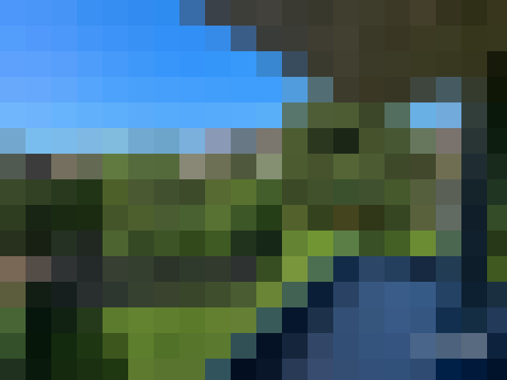  / #8