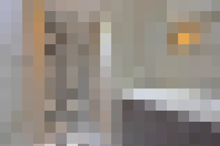  / #15