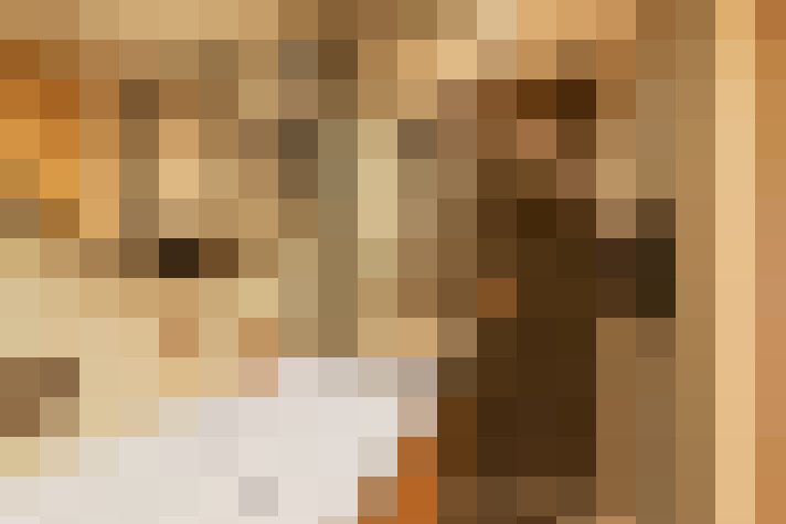  / #14