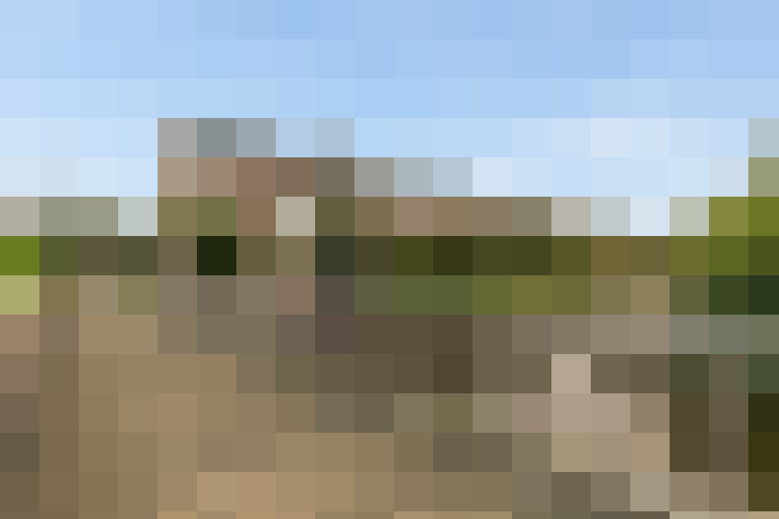  / #17
