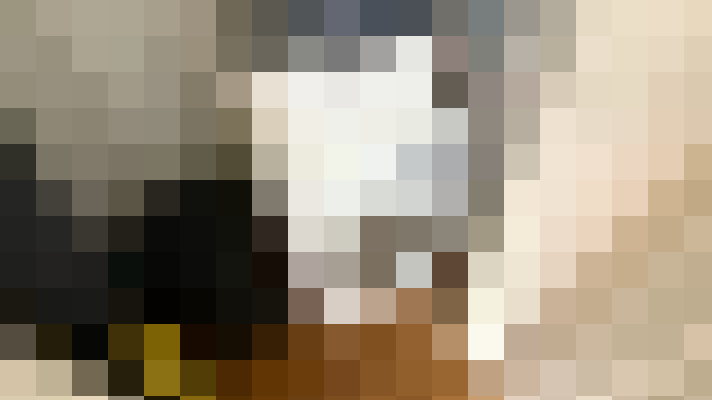  / #14