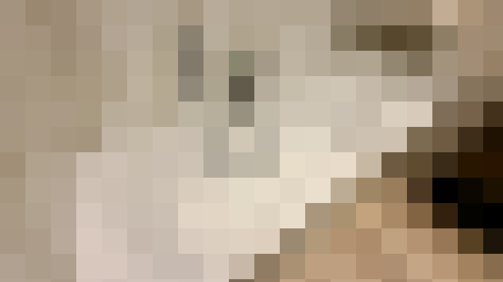  / #11