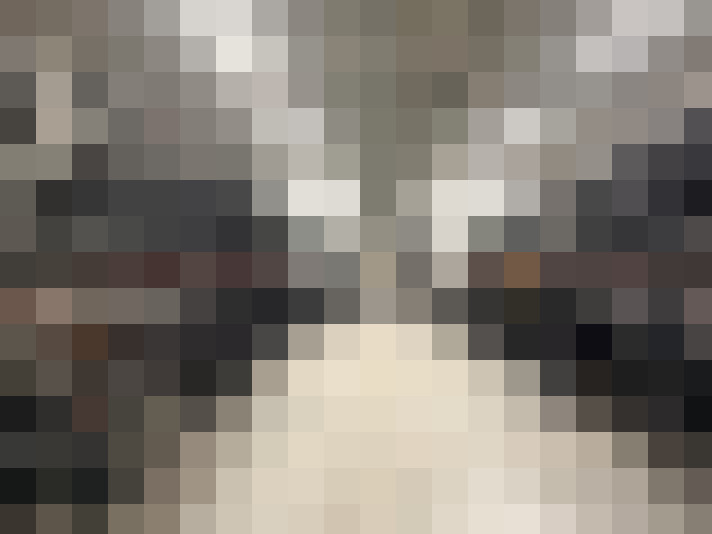  / #21