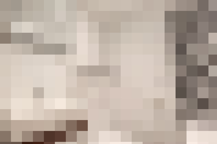  / #24