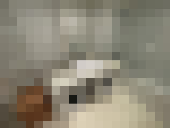  / #27