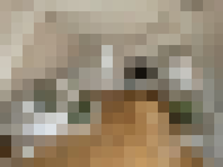  / #12