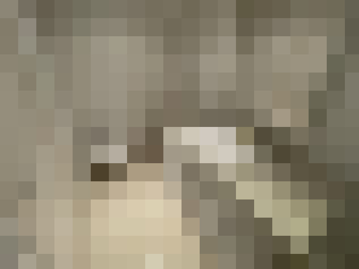  / #26