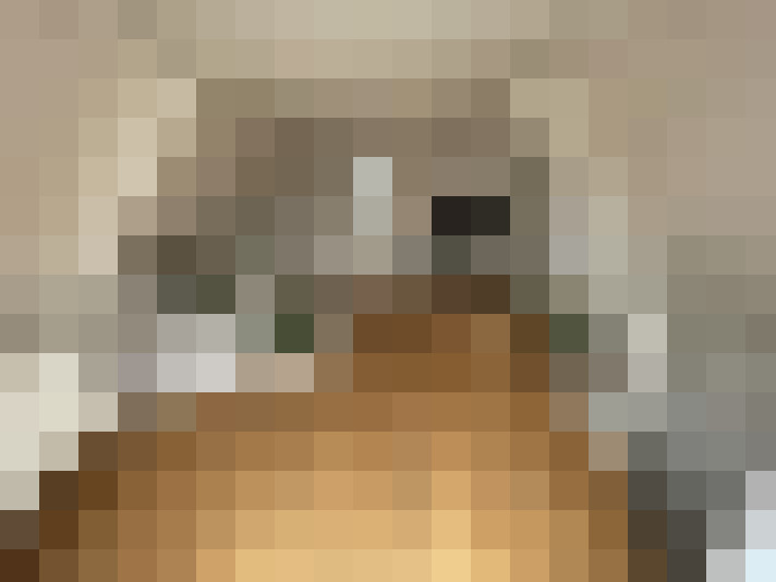  / #14
