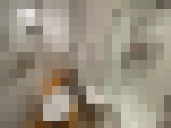  / #19