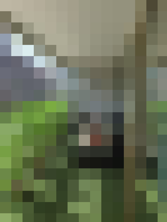  / #14