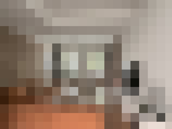  / #16