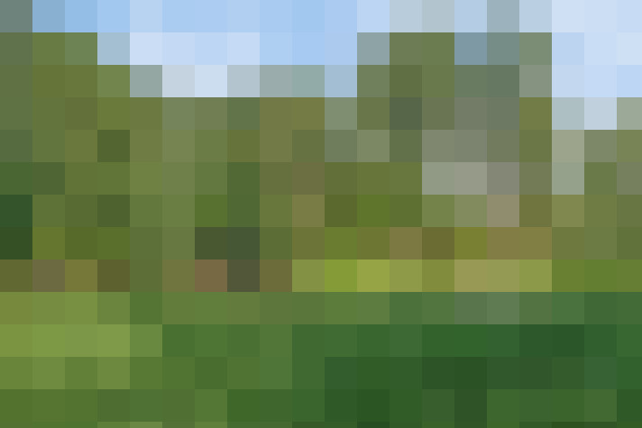  / #18