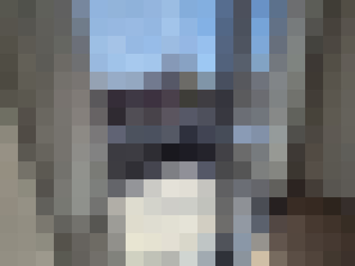  / #12