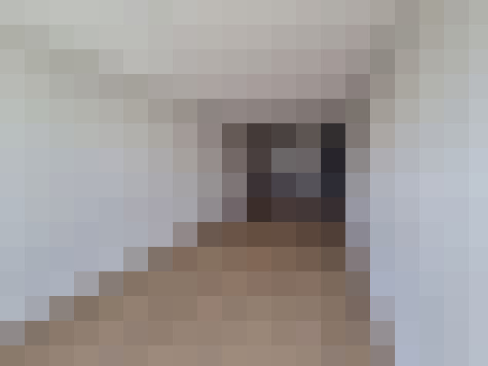  / #11
