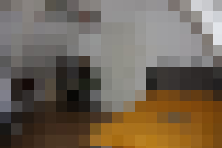  / #20