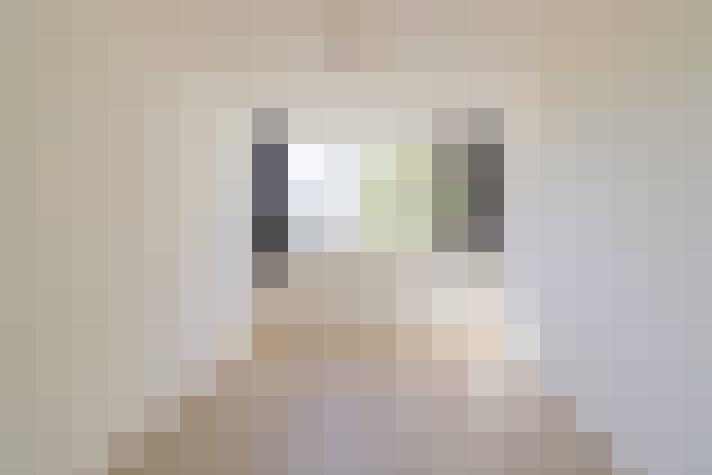  / #13