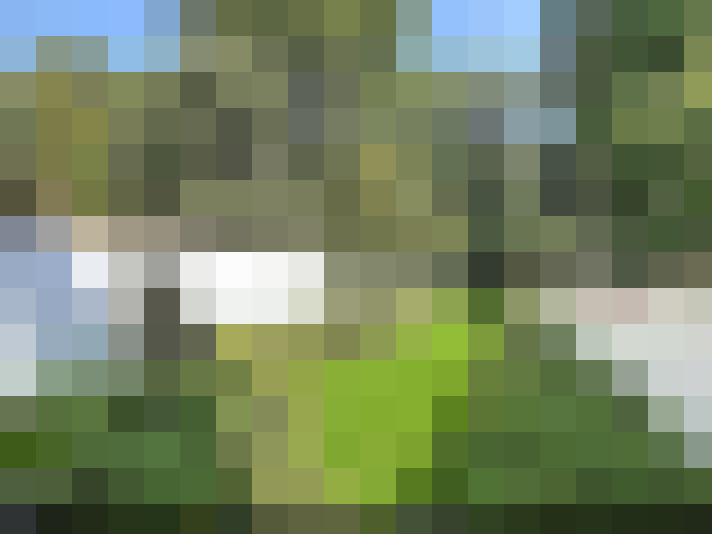  / #17