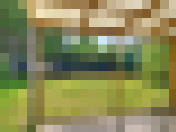  / #19