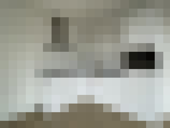  / #7