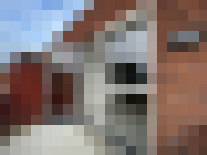  / #16