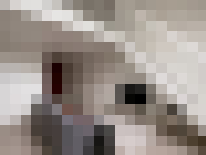  / #7