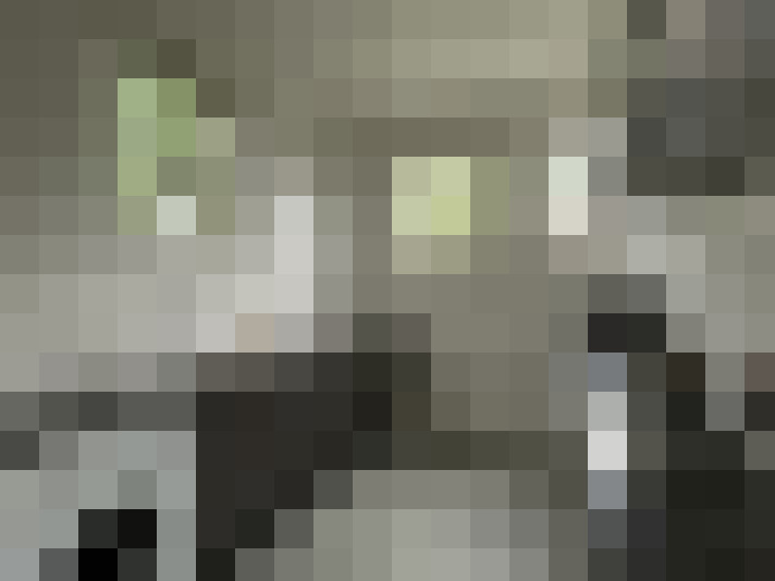  / #8