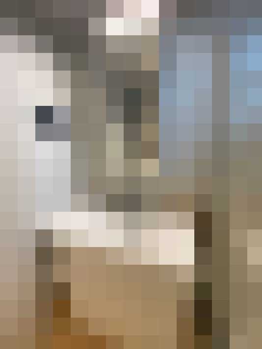  / #14