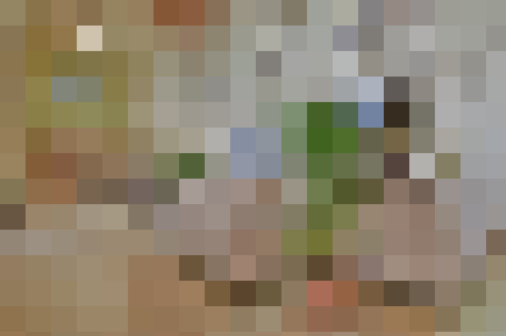  / #13