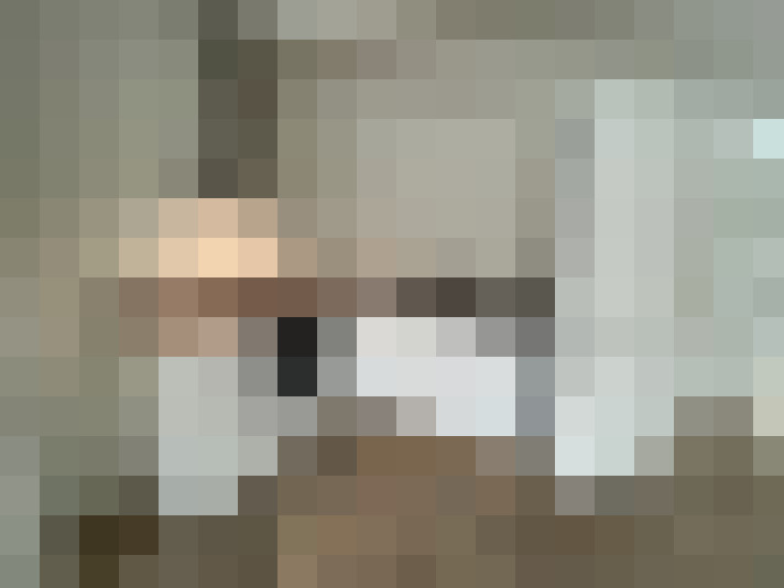  / #15