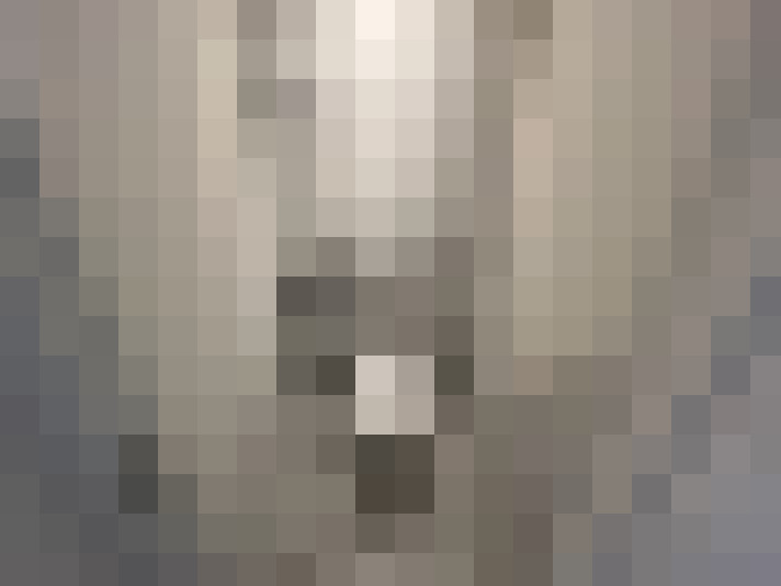  / #26
