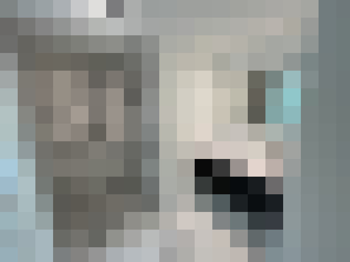  / #23