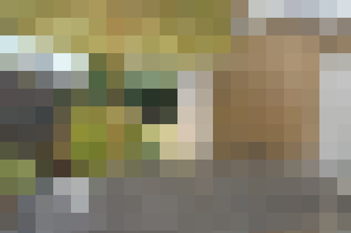  / #19