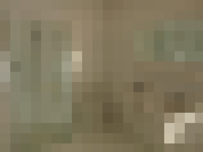  / #8