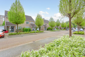 Dom — Almere
