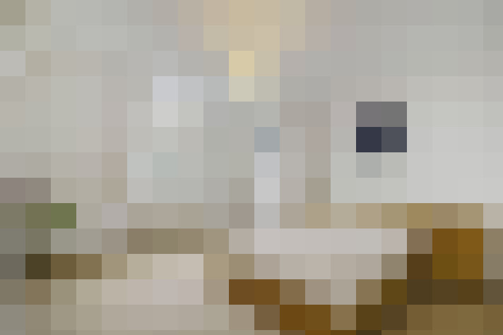  / #19