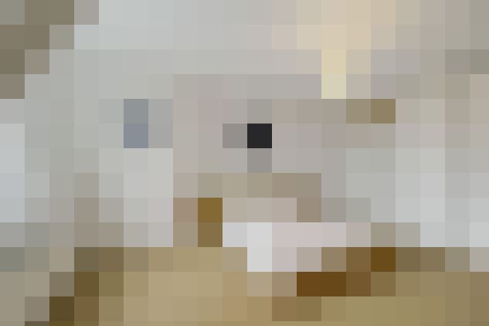  / #21