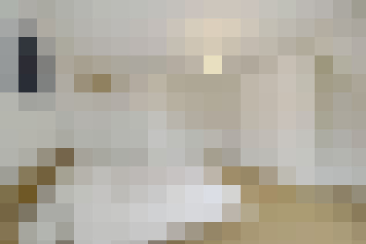  / #22
