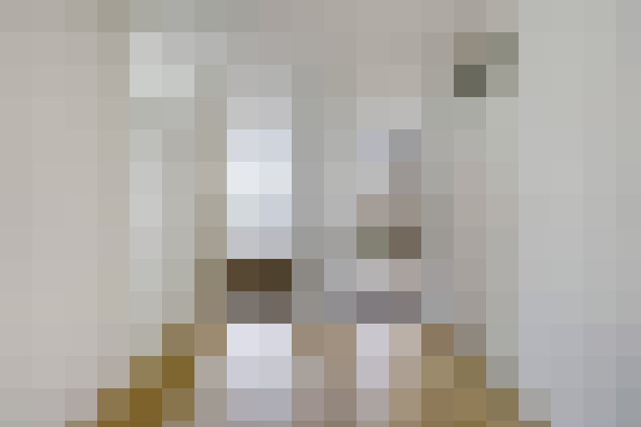  / #18