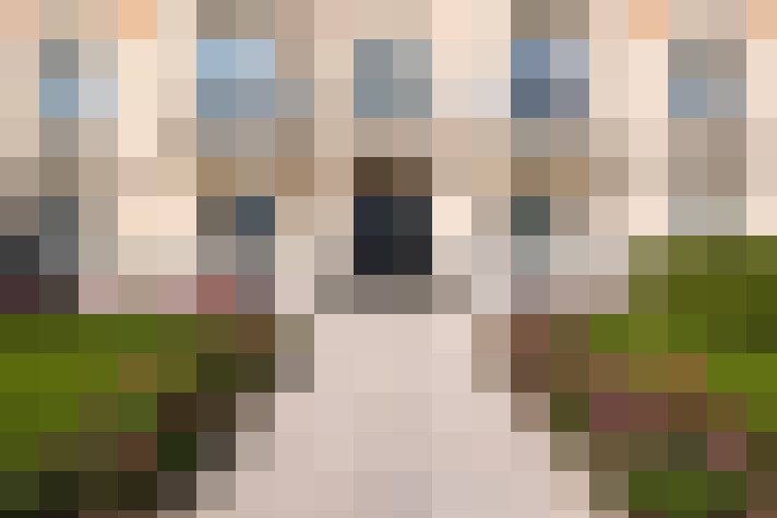  / #19