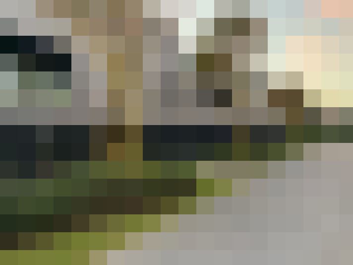  / #15